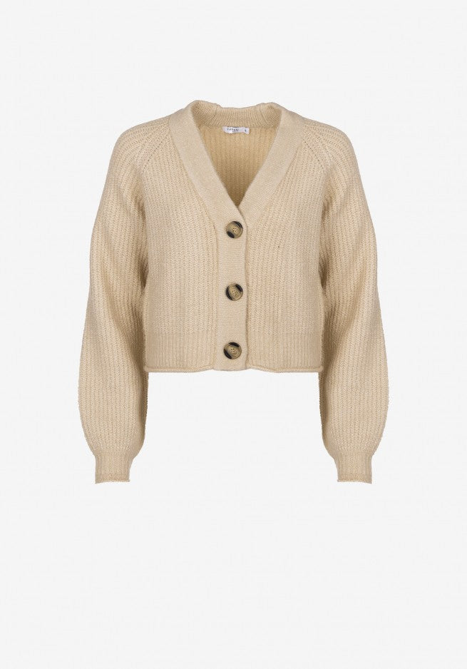 Shamrock jacket