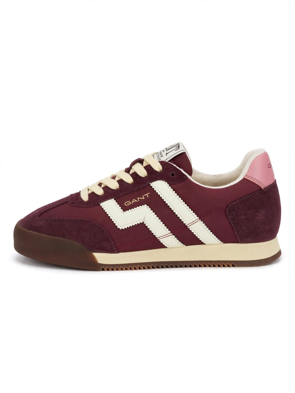 Tenis beylana