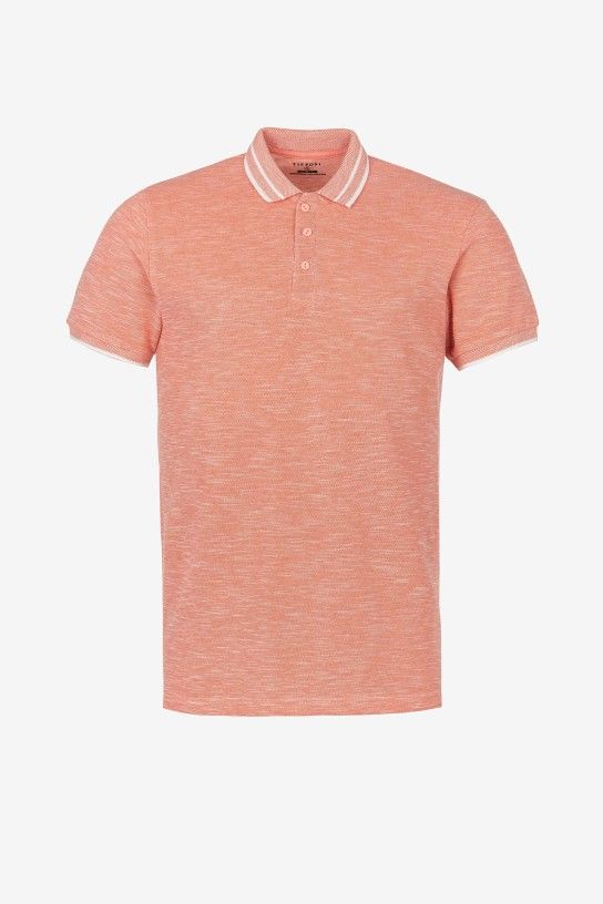 Polo eliseo