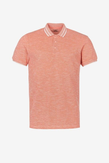 Polo eliseo