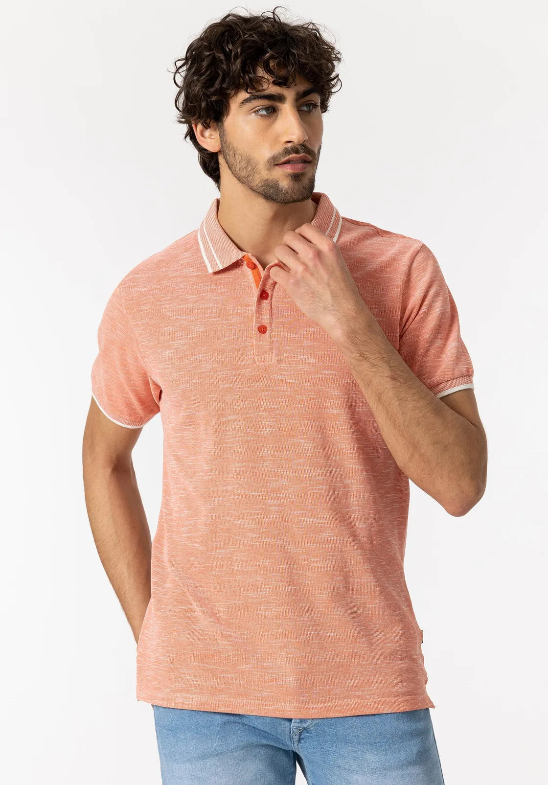 Polo eliseo