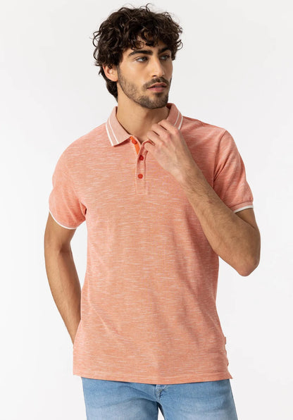 Polo eliseo