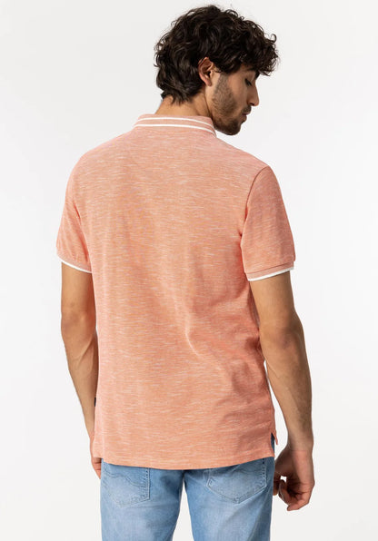 Polo eliseo